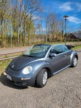 Volkswagen Beetle - VW Beetle Gebrauchtwagen in Bremen