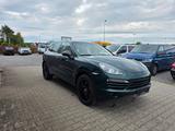 Porsche Cayenne Diesel Jetgreen, Panorama, 20Zoll - Porsche: Grün