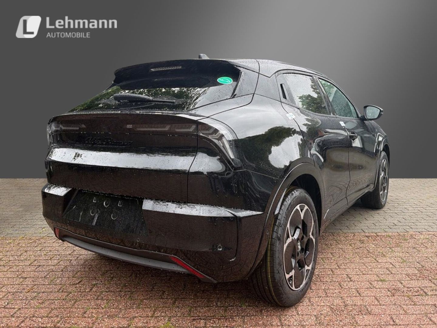 Fahrzeugabbildung Alfa Romeo Junior Elettrica TI -Technologie-Panorama-Wärmep