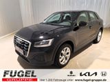Audi Q2 1.0 30 TFSI LED|Navi|ACC - Audi Q2 in Dresden