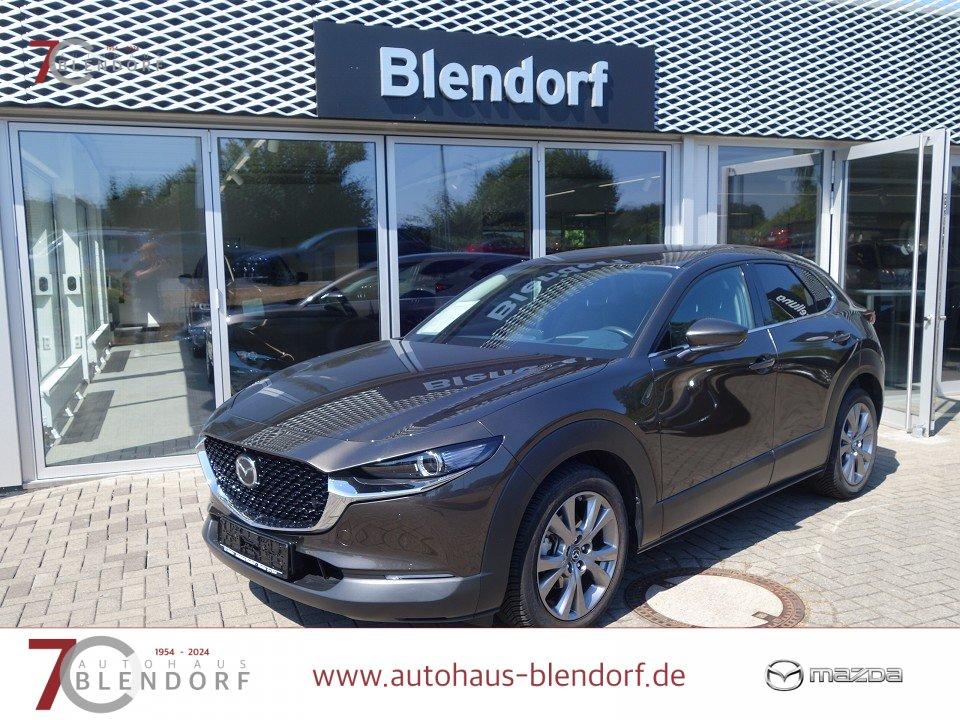 Mazda CX-30 Selection 150 Automatik Bose|MatrixLED|360