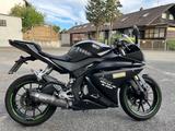 Yamaha Yzfr 125 Shark Sportauspuff mit ABS - YAMAHA YZ 125