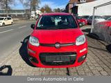 Fiat Panda Easy - Fiat Panda EASY mit Benzin-Antrieb