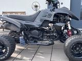Beeline Bestia 5.5 - BEELINE BESTIA