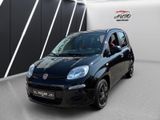 Fiat New Panda 1.2 Klima Multi/Lenk - Fiat Panda: Kleinwagen