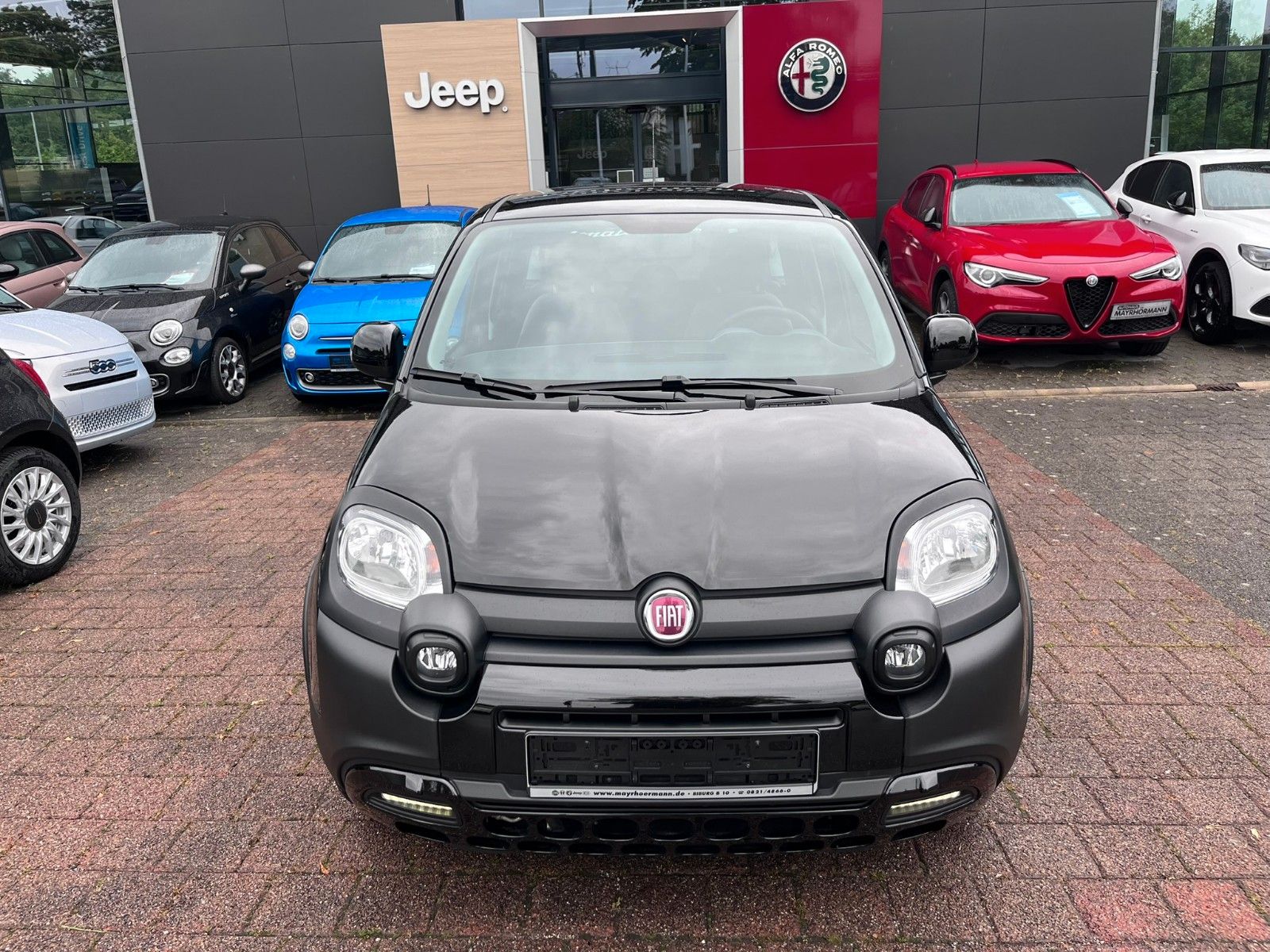 Fahrzeugabbildung Fiat Panda Cross City Plus Hybrid