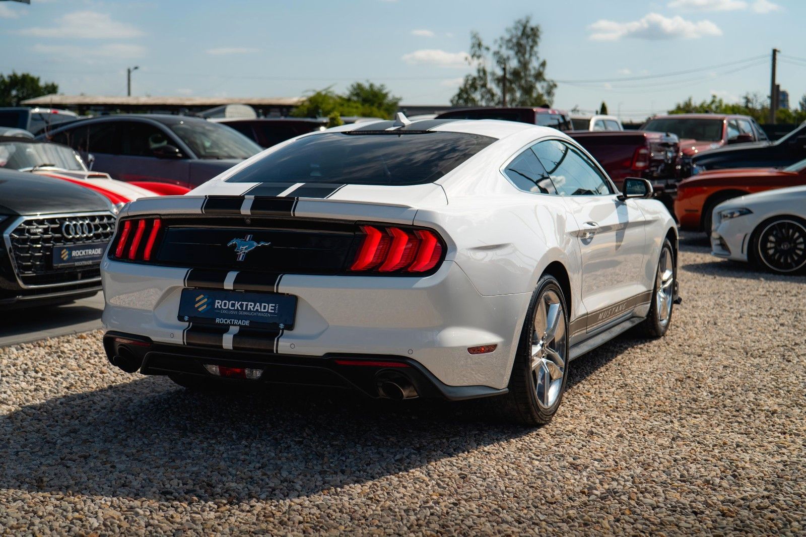 Fahrzeugabbildung Ford Mustang Shelby GT 500 Coupe Performance PREMIUM