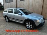 Skoda Octavia Combi 2.0 TDI 4x4 Xenon AHK Scout 17" - Skoda Octavia aus 2008: Scout