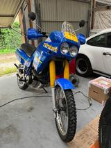 Yamaha XT 600 Ténéré | Baujahr 1989  - Offers