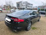 Jaguar XF 2.7 L V6 Diesel Premium Luxury - Jaguar XF: 2.7