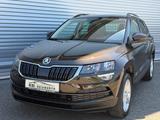 Skoda Karoq Ambition - Skoda Karoq bis 15.000 Euro