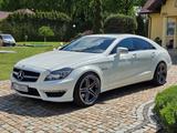 Mercedes-Benz CLS 63 AMG AMG Performance  - Mercedes-Benz: Coupe, C 63