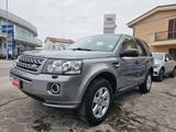 Land Rover Freelander 2.2 TD4 S.W. S - Land Rover Freelander: Td4s