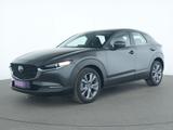 Mazda CX-30 Selection MatrixLED|ACC|Navi|Kamera|CarPla - scheckheftgepflegte Mazda CX-30
