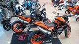 KTM 890 Duke GP  **sofort verfügbar** - KTM 890 DUKE