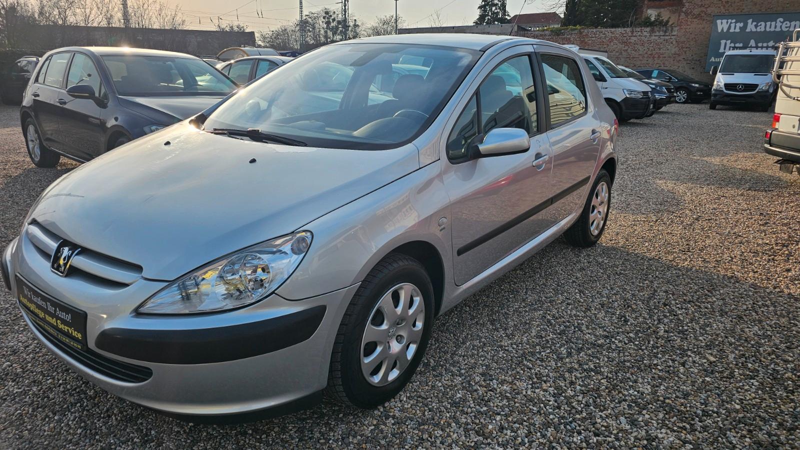 Peugeot 307 1.6 Limited Edition