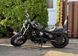 Hyosung Aquila 125 GV 125S mit Sissybar und Extrasitz  - HYOSUNG CHOPPER 125