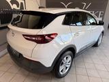 Opel Grandland (X) Turbo Edition/AHK/Sitzhz./Lenkradh - Opel Grandland (X) mit Benzin-Antrieb: Automatik