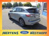 Ford Kuga ST-Line X PHEV AHK Navi Kamera Winter-Paket - Ford Kuga mit Anhängerkupplung
