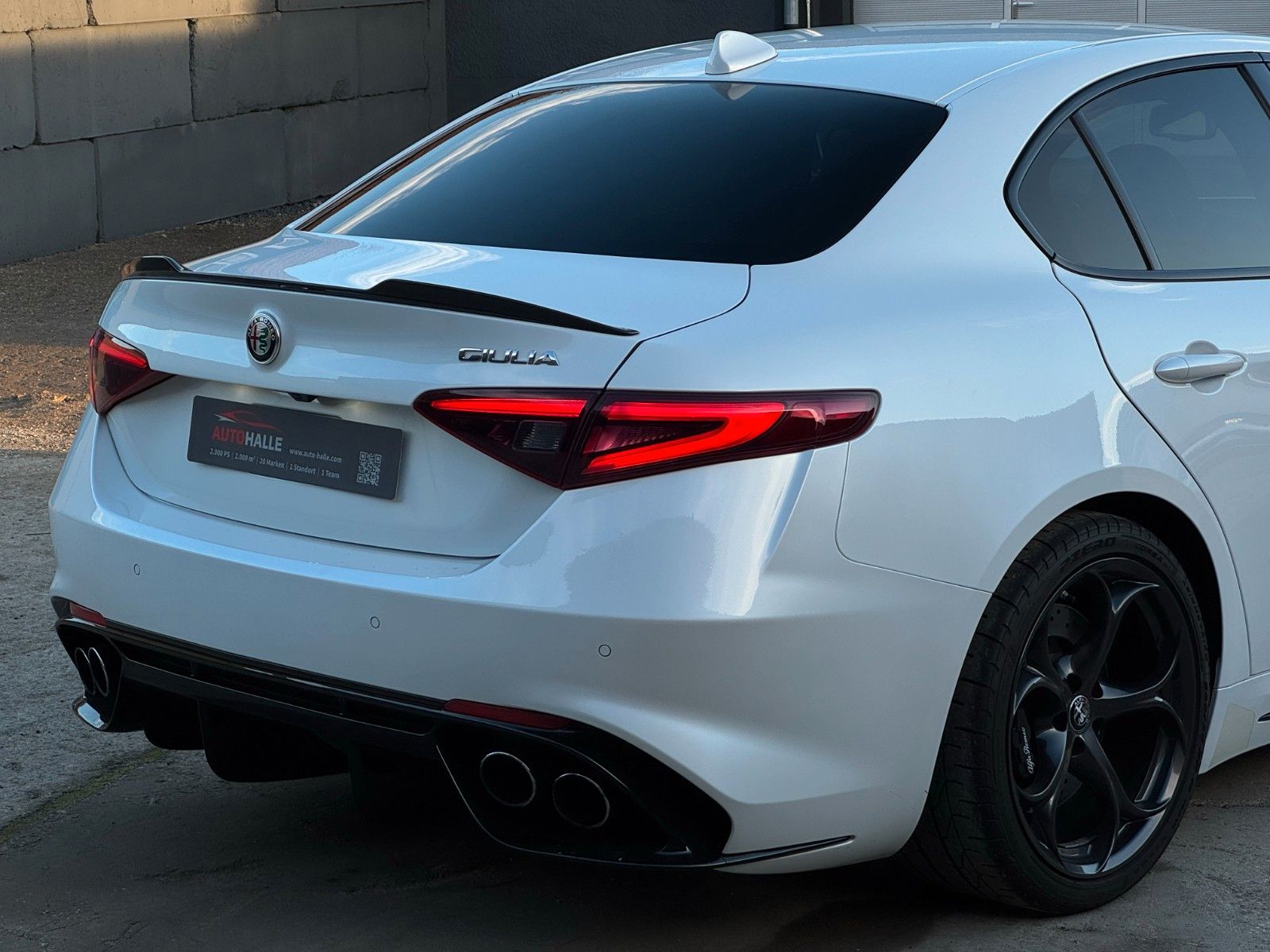 Fahrzeugabbildung Alfa Romeo Giulia Quadrif 2.9 510 Sparco Carbon Schale H&K