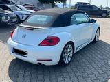 Volkswagen Beetle 2.0 TSI Exclusive Sport Cabriolet Exc... - Volkswagen Beetle: Exclusive Sport