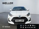 Toyota Yaris Hybrid 1.5 Business Edition *CarPlay*SHZ* - Toyota Yaris Edition mit Hybrid-Antrieb (Benzin/Elektro)