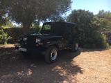 Jeep Wrangler 2.5 - Topzustand  - Jeep aus 1992