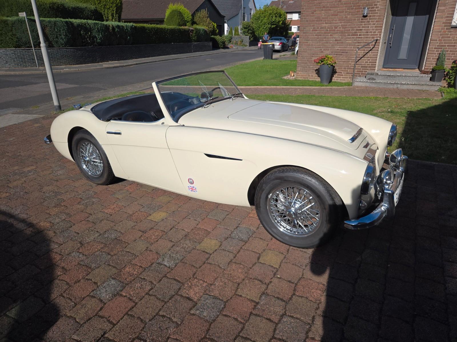 Austin Healey Andere