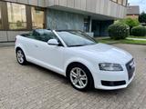 Audi A3 1.8 TFSI Ambition Cabriolet 2Hand Leder - Audi A3: Cabrio, 2.1