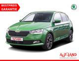 Skoda Fabia 1.0 MPI Drive Klimaaut. SmartLink Tempomat - Skoda Fabia: Grün