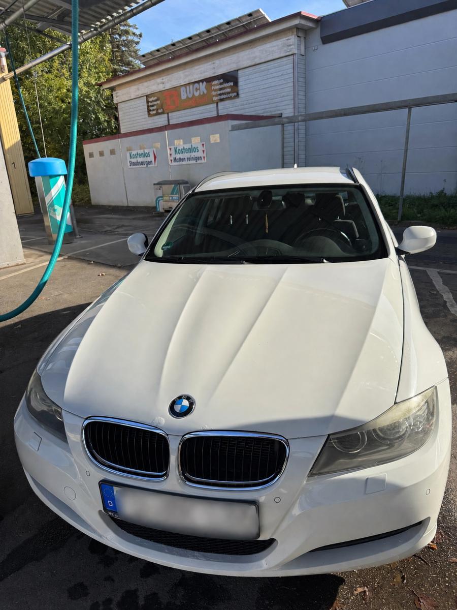 BMW 316 2010 — rear view