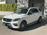 Mercedes-Benz Mercedes ML 250 CDI AMG Line 4MATIC | Pano... - : Mercedes Ml