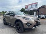 Land Rover Discovery Sport Basis AWD // Leder // Automatik - Land Rover Discovery in Hamm