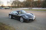 Porsche Cayman S *Approved* SAGA* PDK* 8fach 981 *6 Zyl. - Porsche: 981