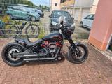 Harley-Davidson FXDR Thunderbike Umbau  - HARLEY-DAVIDSON THUN