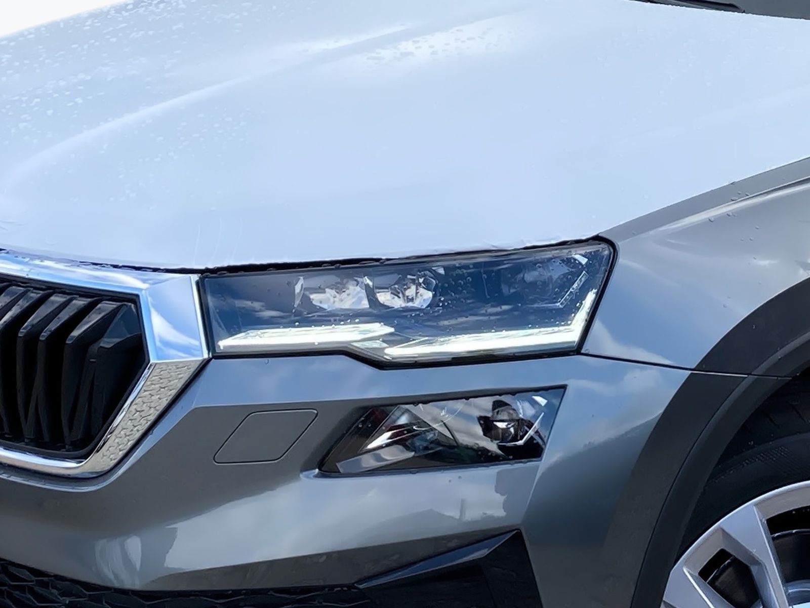 Skoda Karoq - Bild 6