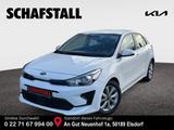 Kia Rio 1.2 Vision Allwetter Navi Klimaautom DAB SHZ - Kia Rio Vision