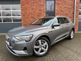 Audi E-TRON 55 QUATTRO,LEDER,DAB,LED,AHK,LUFT - graue Audi e-tron
