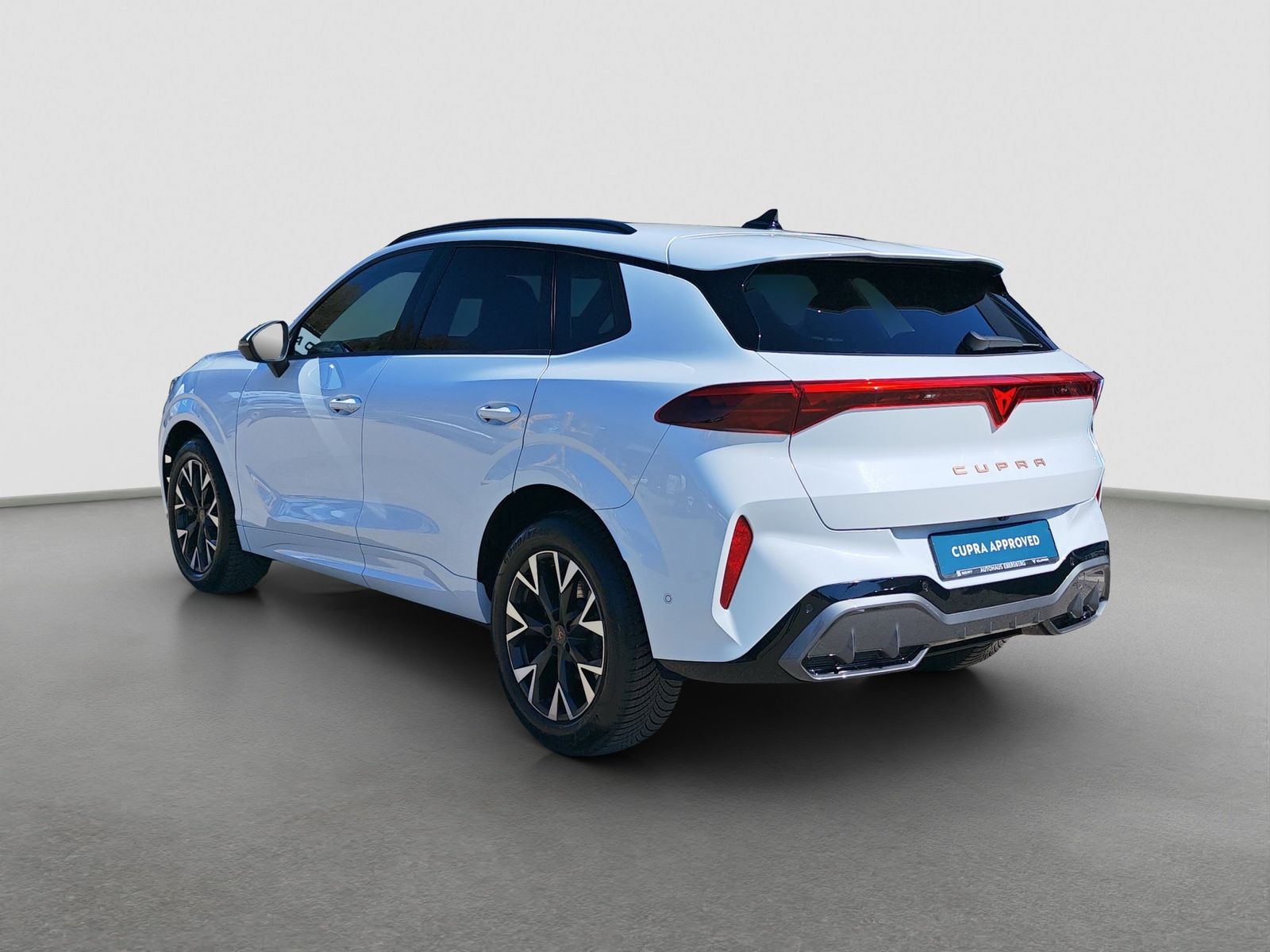 Cupra Terramar - Bild 8