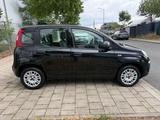 Fiat Panda Easy*City Life*Klima*Wenig KM*1Hand* - gebrauchte Fiat Panda aus dem Jahr 2019