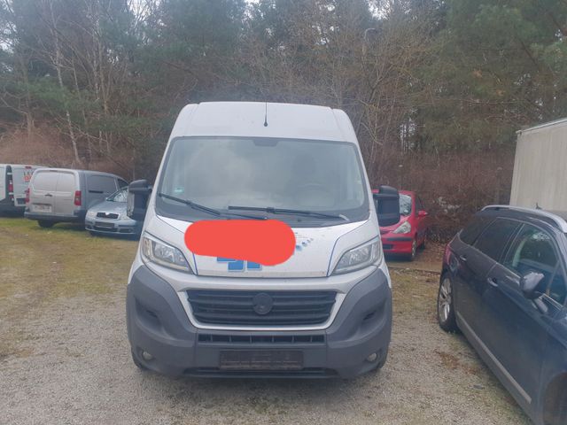 Fiat Ducato Grossr.-Kasten 35 180 Power L4H2 RS: 4035