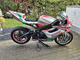 Triumph Daytona 675  - TRIUMPH DAYTONA