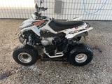 Arctic Cat DVX 300 ATV Quad - ARCTIC CAT QUAD