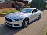 Ford Mustang EcoBoost 350PS 275km/h - Ford Mustang: Ecoboost