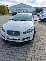 Jaguar XF Sportbrake 3.0d V6 Premium Luxur... - Jaguar XF mit Diesel-Antrieb: Kombi, 3.0