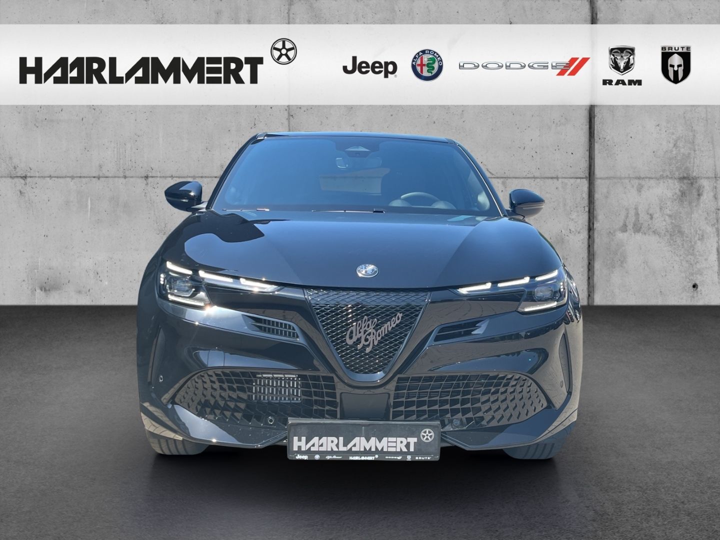 Alfa Romeo Junior - Bild 4