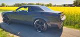Dodge Challenger  3,6 GT AWD - Dodge Challenger AWD Gebrauchtwagen