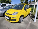 Fiat Panda Pandina Icon Hybrid - Fiat Panda in Chemnitz