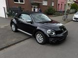 Volkswagen Beetle Cabriolet Design - Volkswagen Beetle in Essen