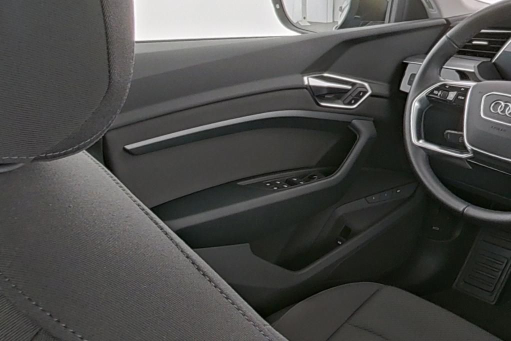 Audi e-tron Basis quattro 50 230kW AHK*RFK*PDC*Tempo
